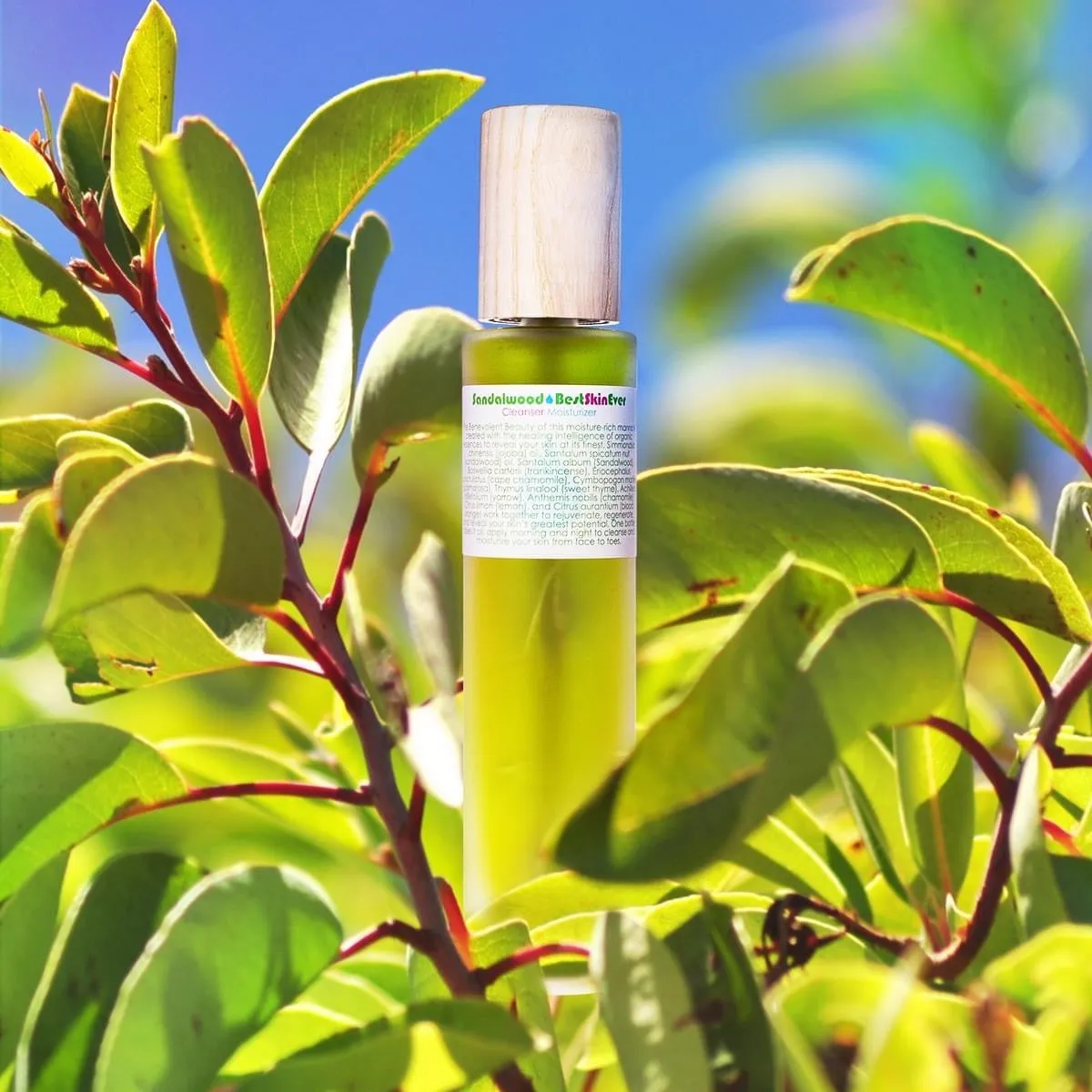 Best Skin Ever - Sandalwood  - Living Libations