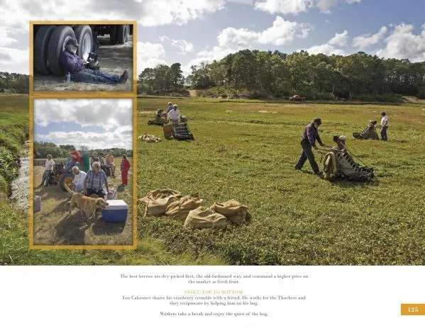 Farms of Cape Cod by Schiffer Publishing