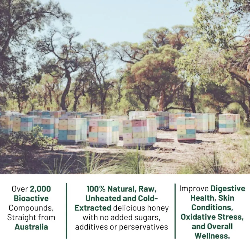Hives Keeper Australian Honey Christmas Gift Set - Jarrah Active TA40  and Blackbutt Active TA35  (250g x 2)