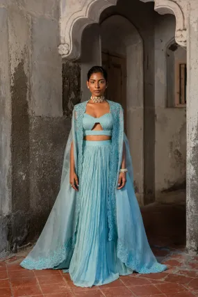 Lehenga set (SS - 109)