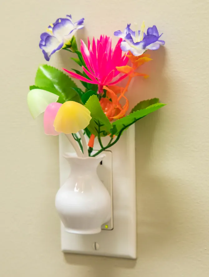 Night Light Mushroom Floral