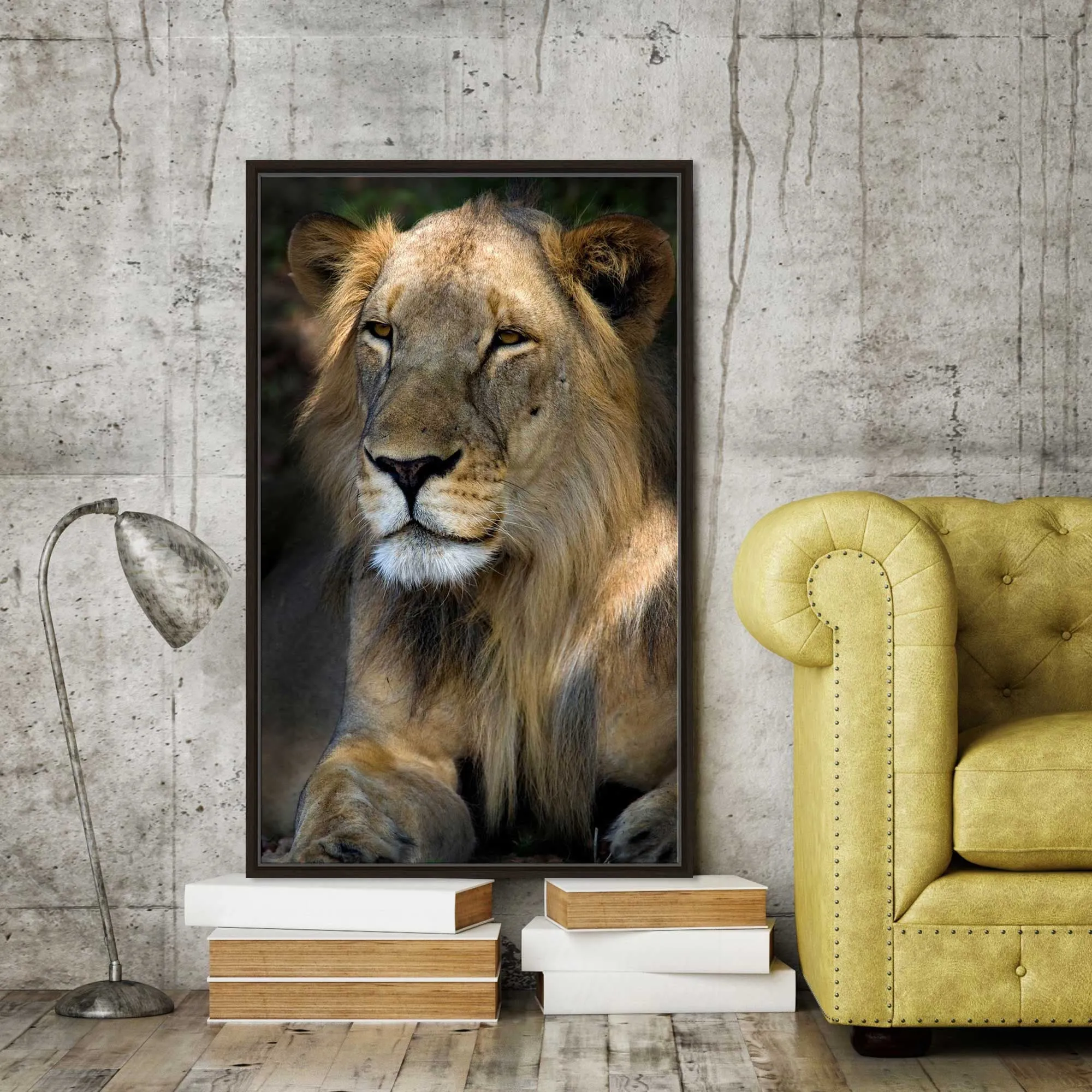 "Cape Lion" Print on Floating Canvas