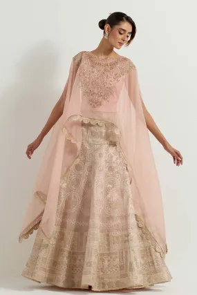 Raeth Blush Pink Embroidered Cape & Tissue Lehenga Set