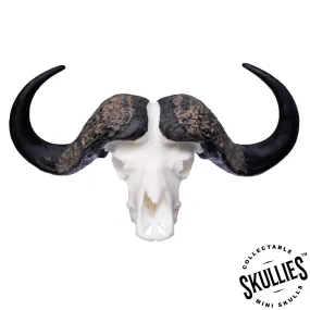 SKULLIES - Miniature Cape Buffalo Skull