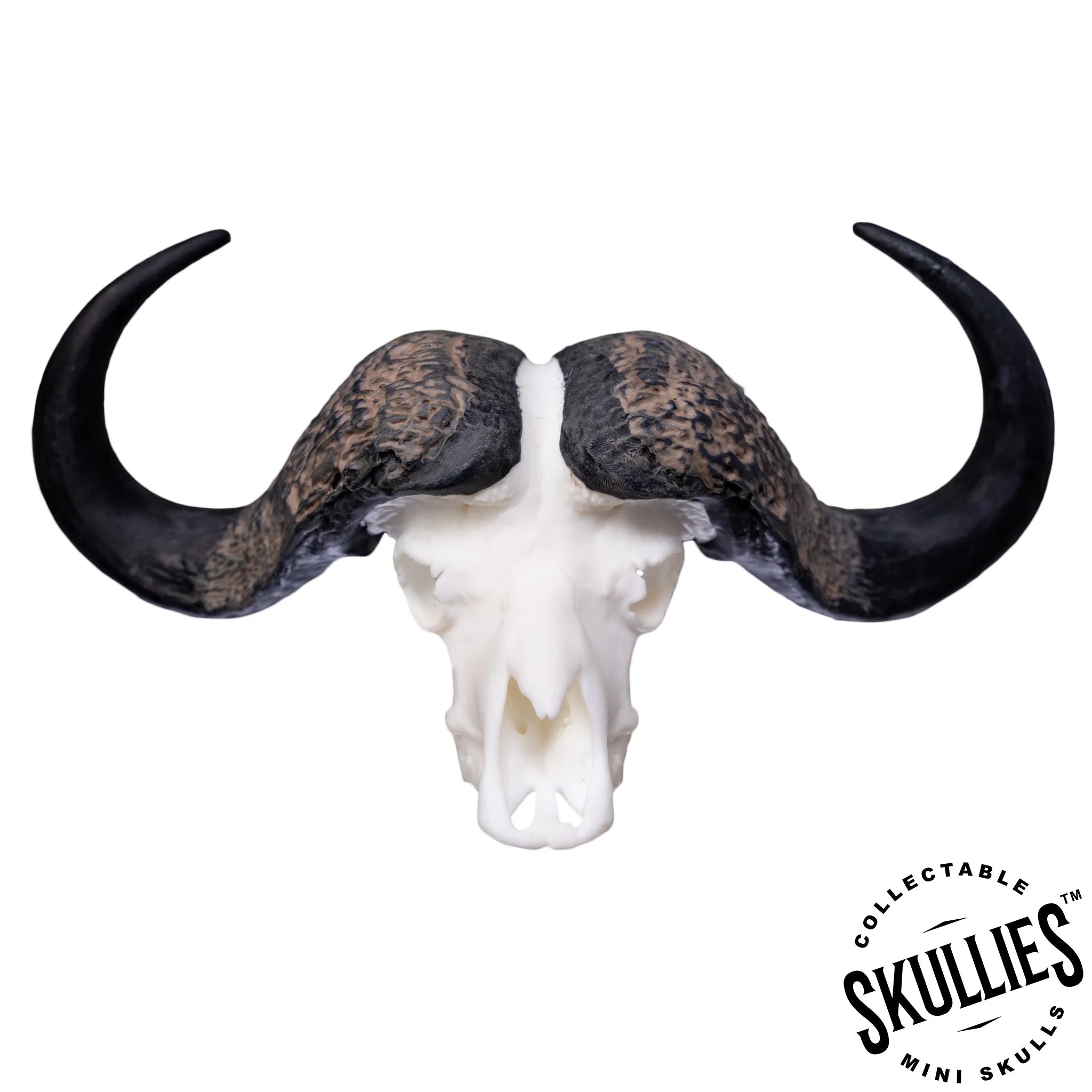 SKULLIES - Miniature Cape Buffalo Skull