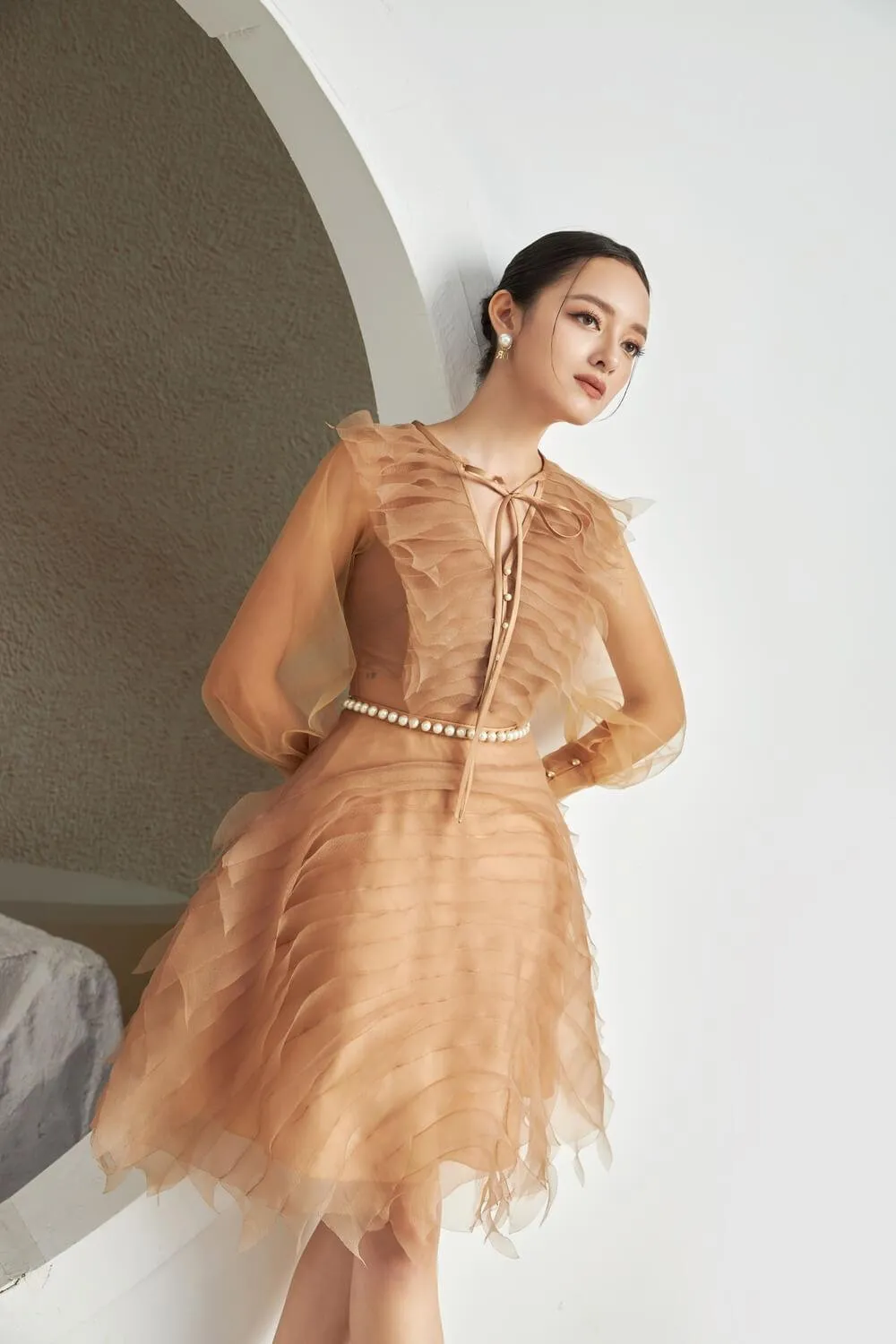 Strauss A-line Cuff Sleeved Mesh Sheer Knee-length Dress