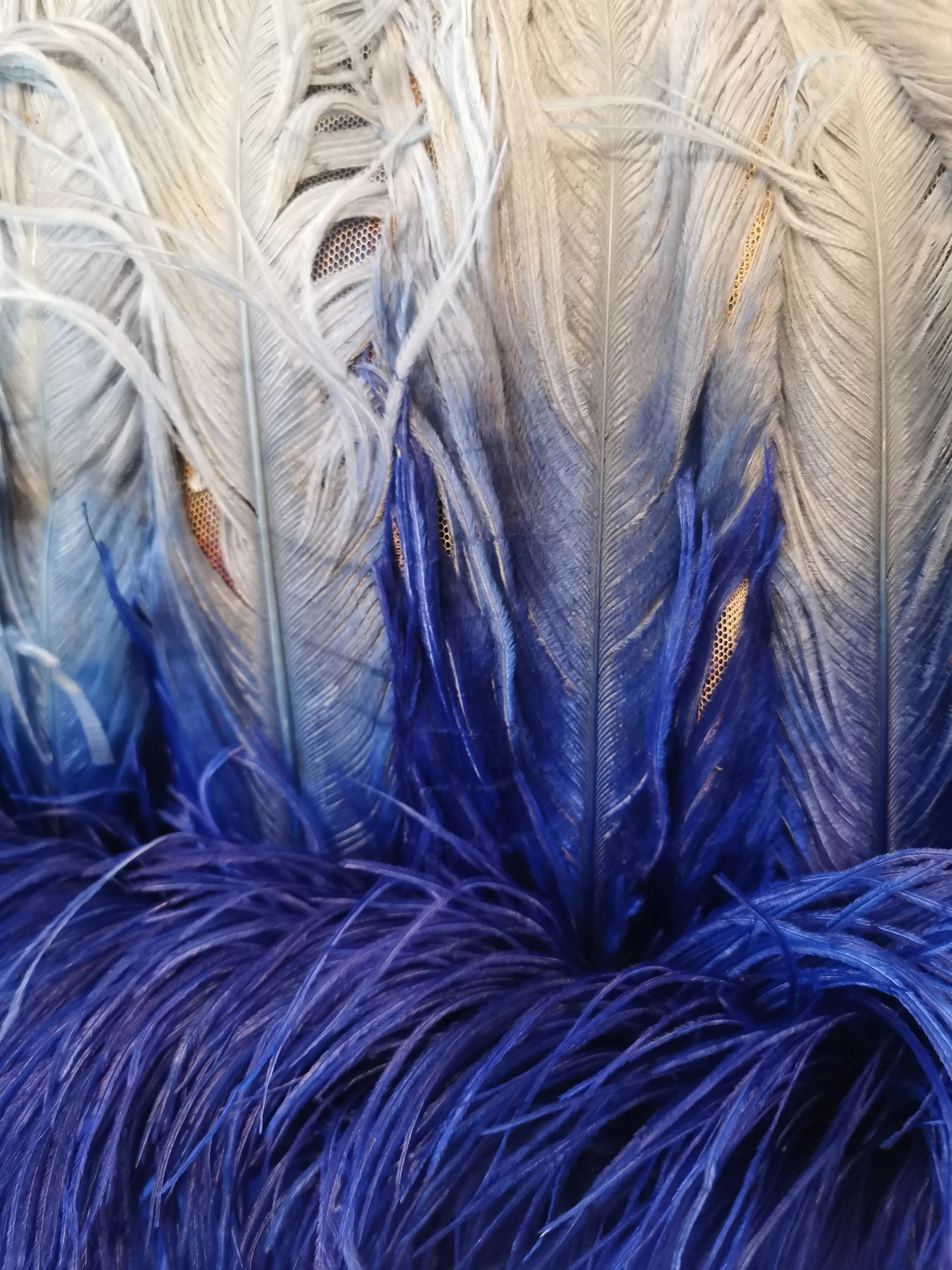 Vintage blue ostrich feather cape 1920s